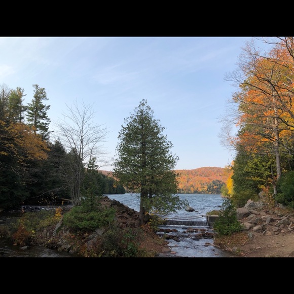 Meet your Posher, Boutique Whitfred - Picture 1 of 1